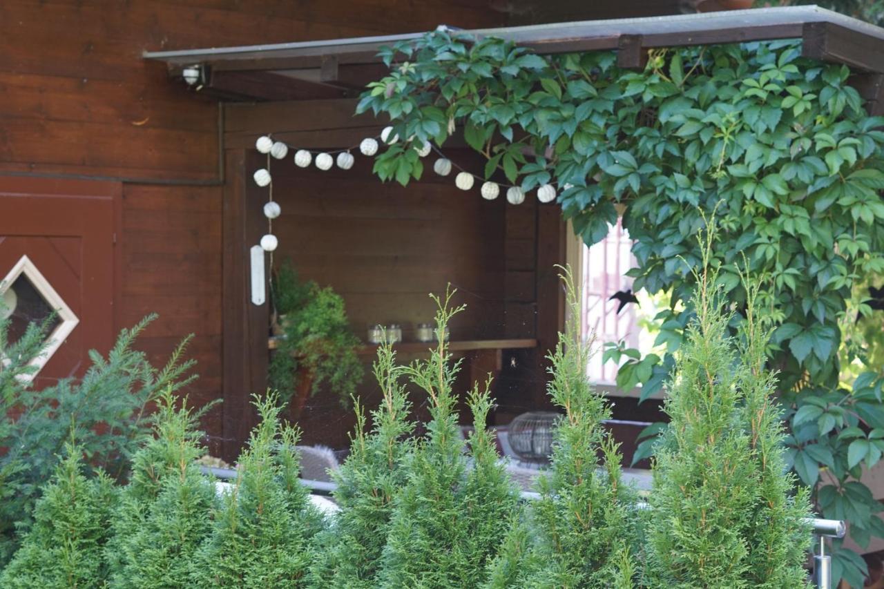 Landhaus Zirmhof Saalbach-Hinterglemm Exteriör bild